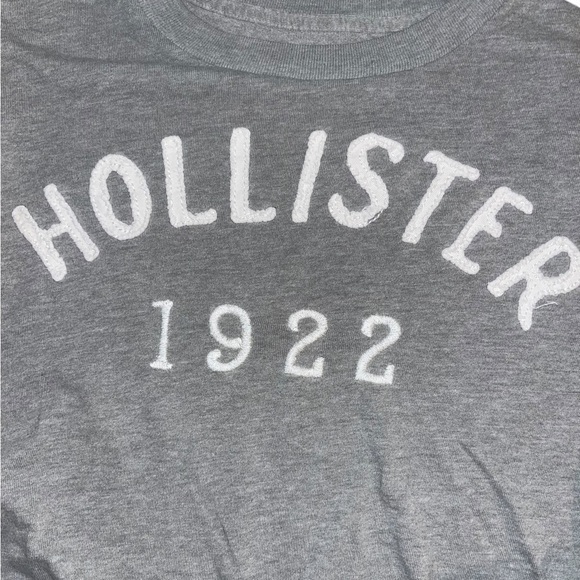 Hollister Mens Medium Gray Short Sleeve T Shirt, Size Medium - Picture 6 of 9